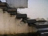 IMAG0228
