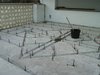 IMAG0151